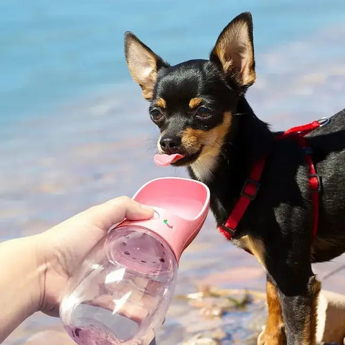 Gourde de Voyage Anti-Fuite pour Chien