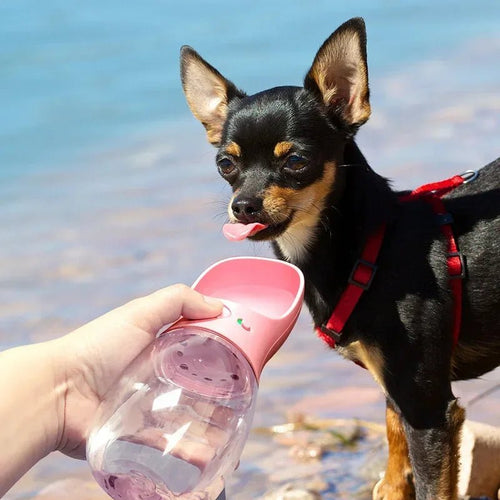 Gourde de Voyage Anti-Fuite pour Chien