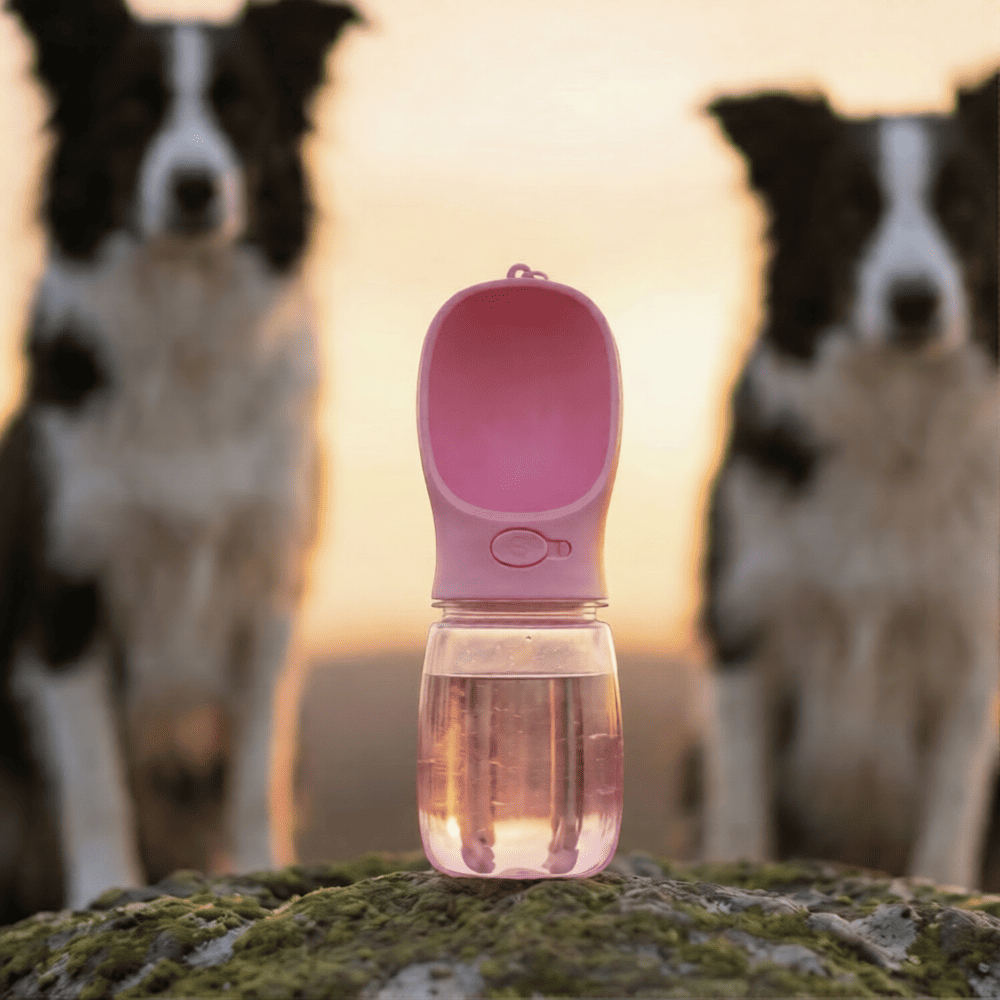 Gourde de Voyage Anti-Fuite pour Chien