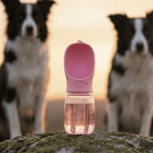 Gourde de Voyage Anti-Fuite pour Chien