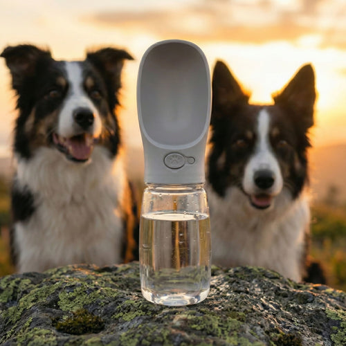 Gourde de Voyage Anti-Fuite pour Chien