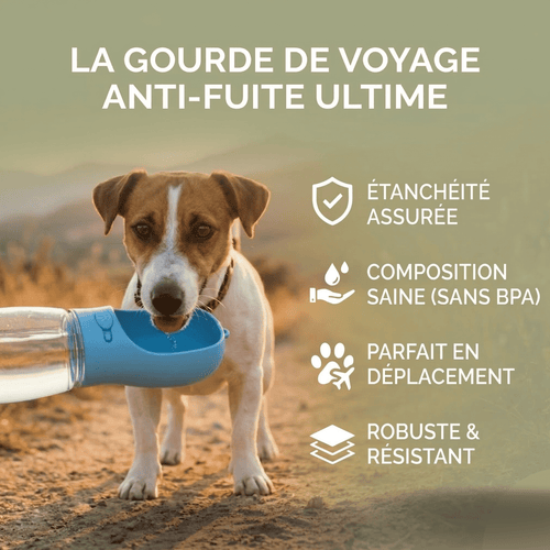 Gourde de Voyage Anti-Fuite pour Chien