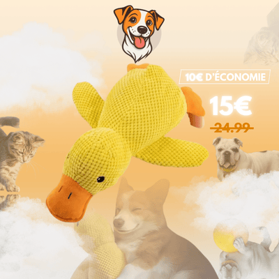 Peluche anti stress Chien - Petoupet 2
