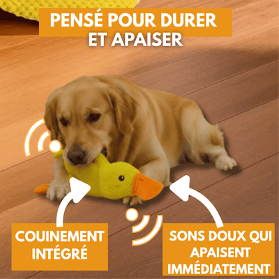 Peluche anti stress Chien - Petoupet 2
