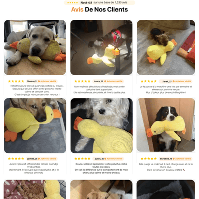 Peluche anti stress Chien - Petoupet 2