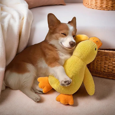 Peluche anti stress Chien - Petoupet 2