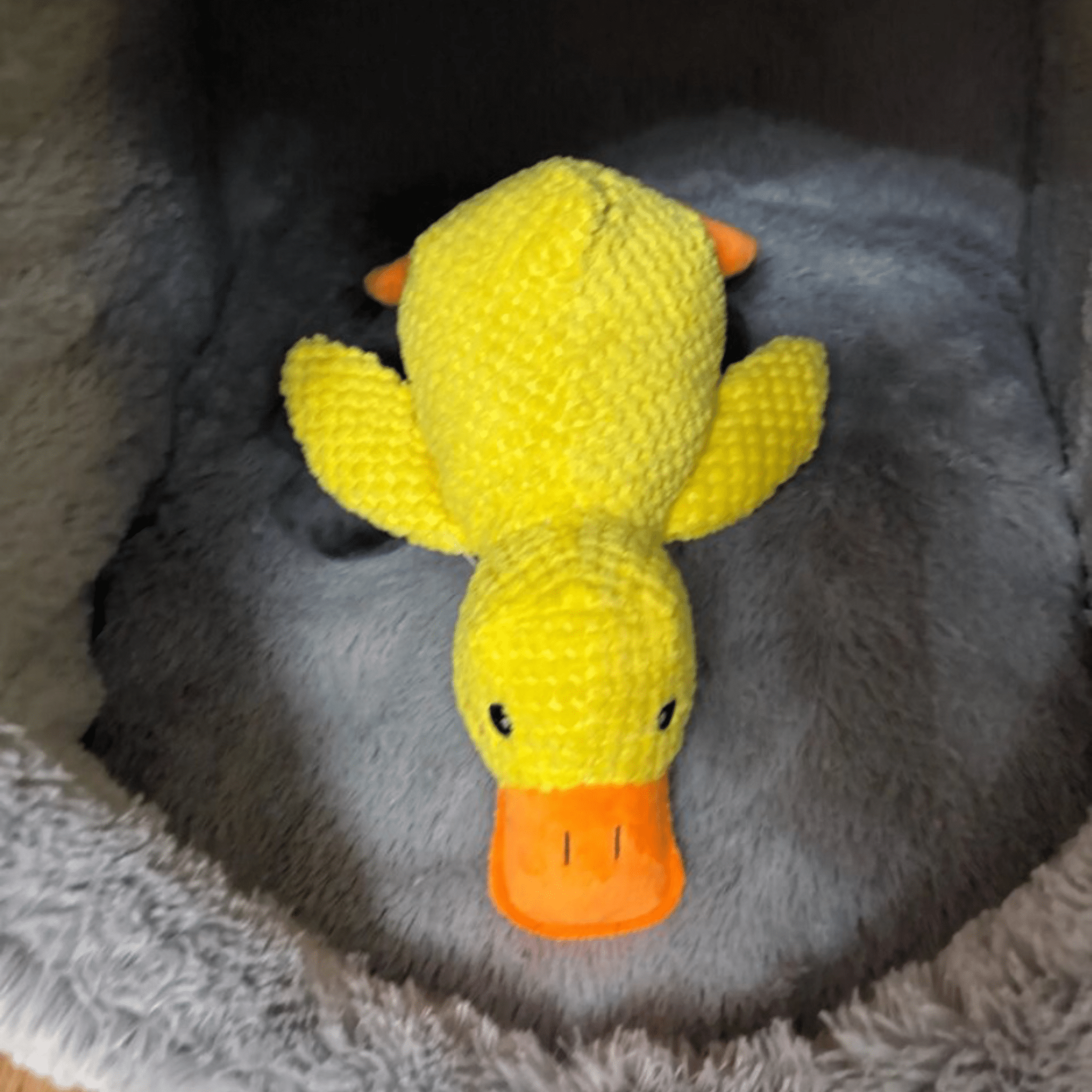 Peluche anti stress Chien - Petoupet 2