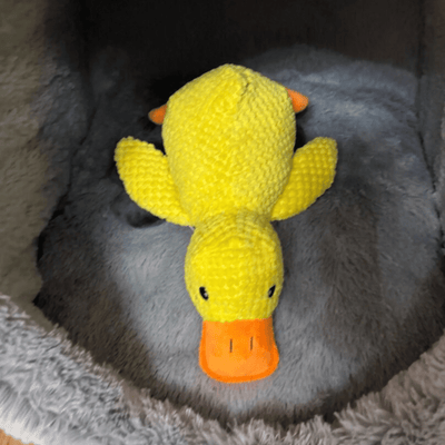 Peluche anti stress Chien - Petoupet 2