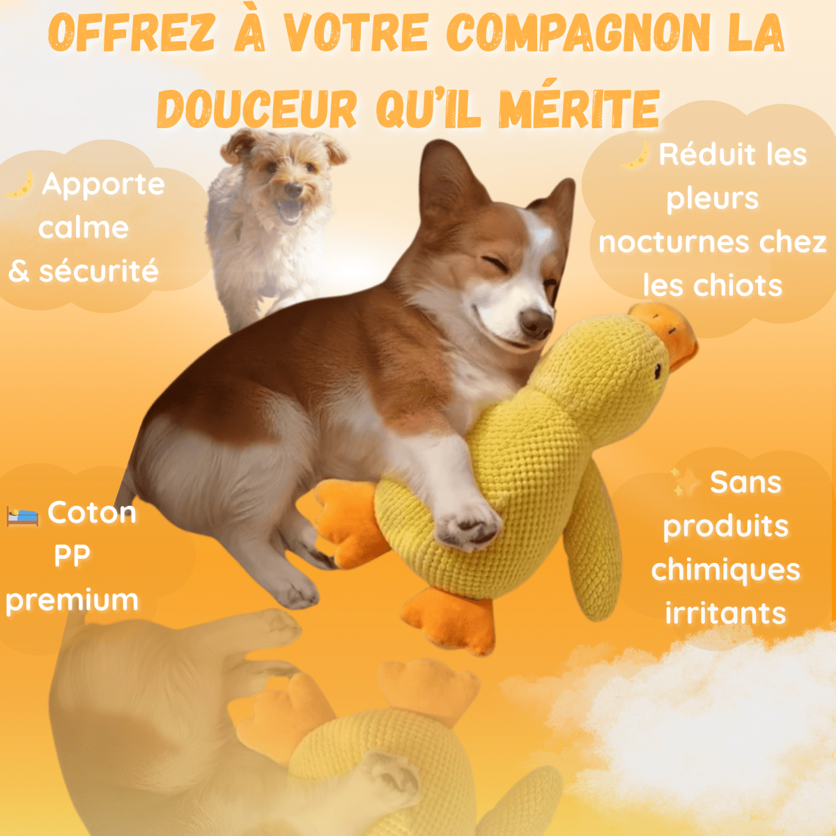 Peluche anti stress Chien - Petoupet 2