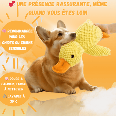 Peluche anti stress Chien - Petoupet 2