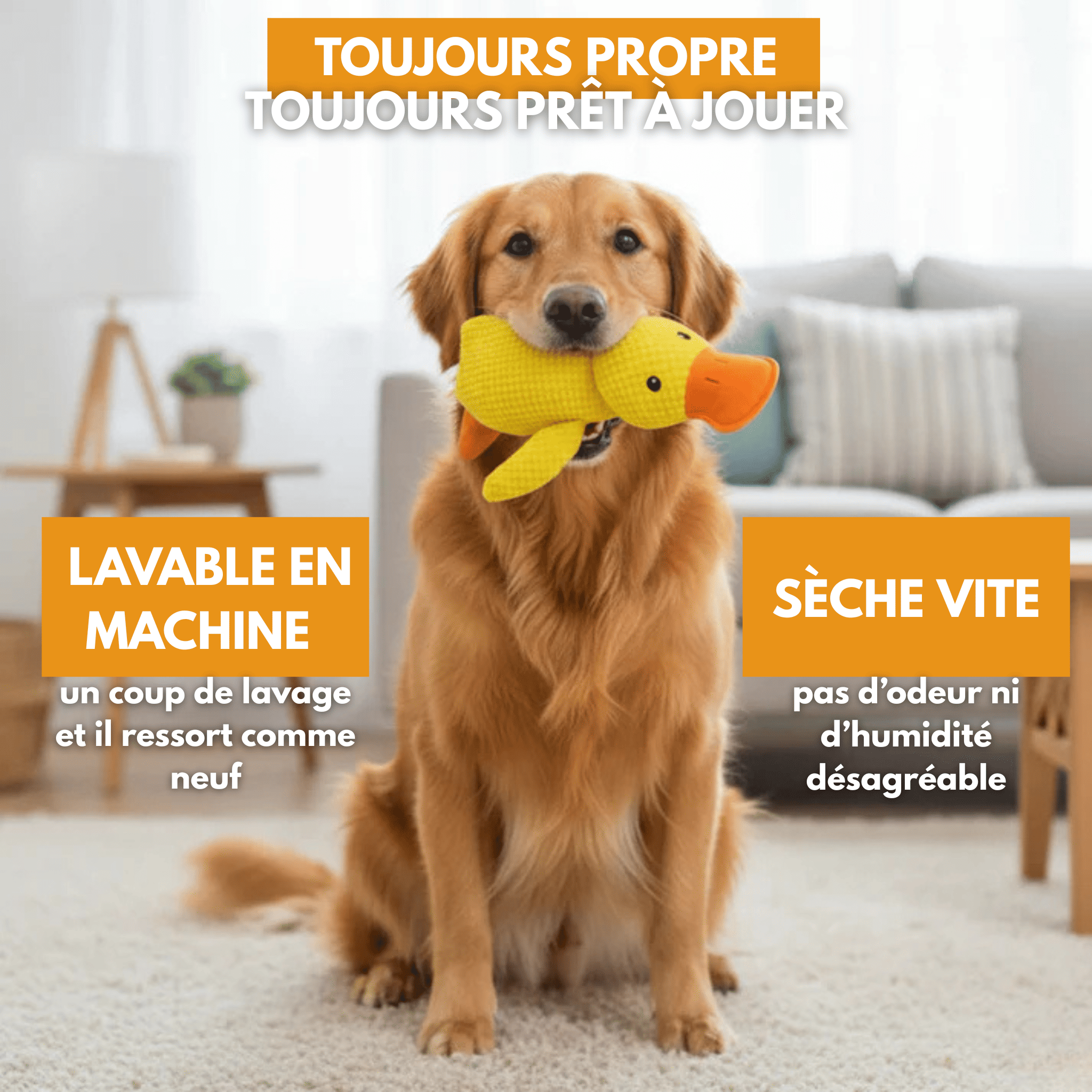 Peluche anti stress Chien - Petoupet 2