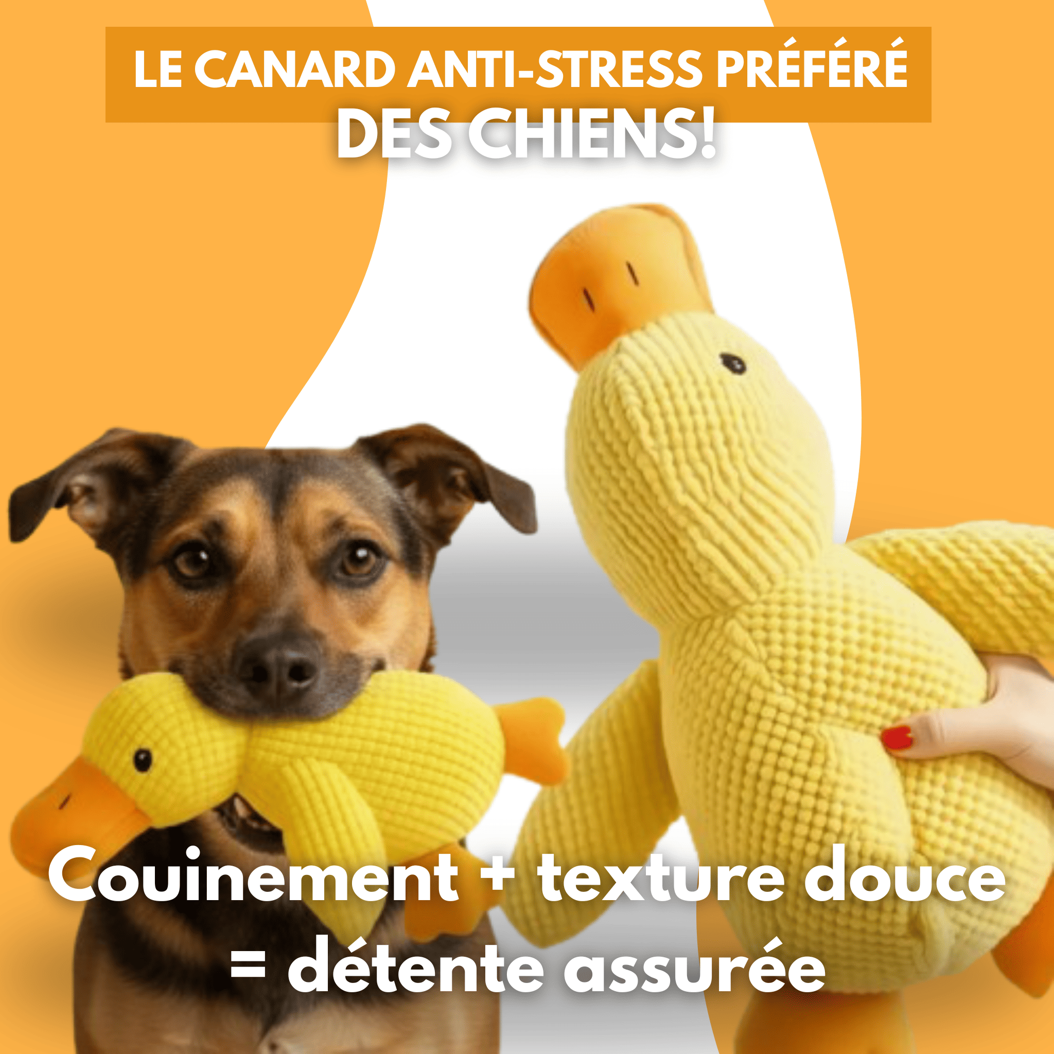 Peluche anti stress Chien - Petoupet 2