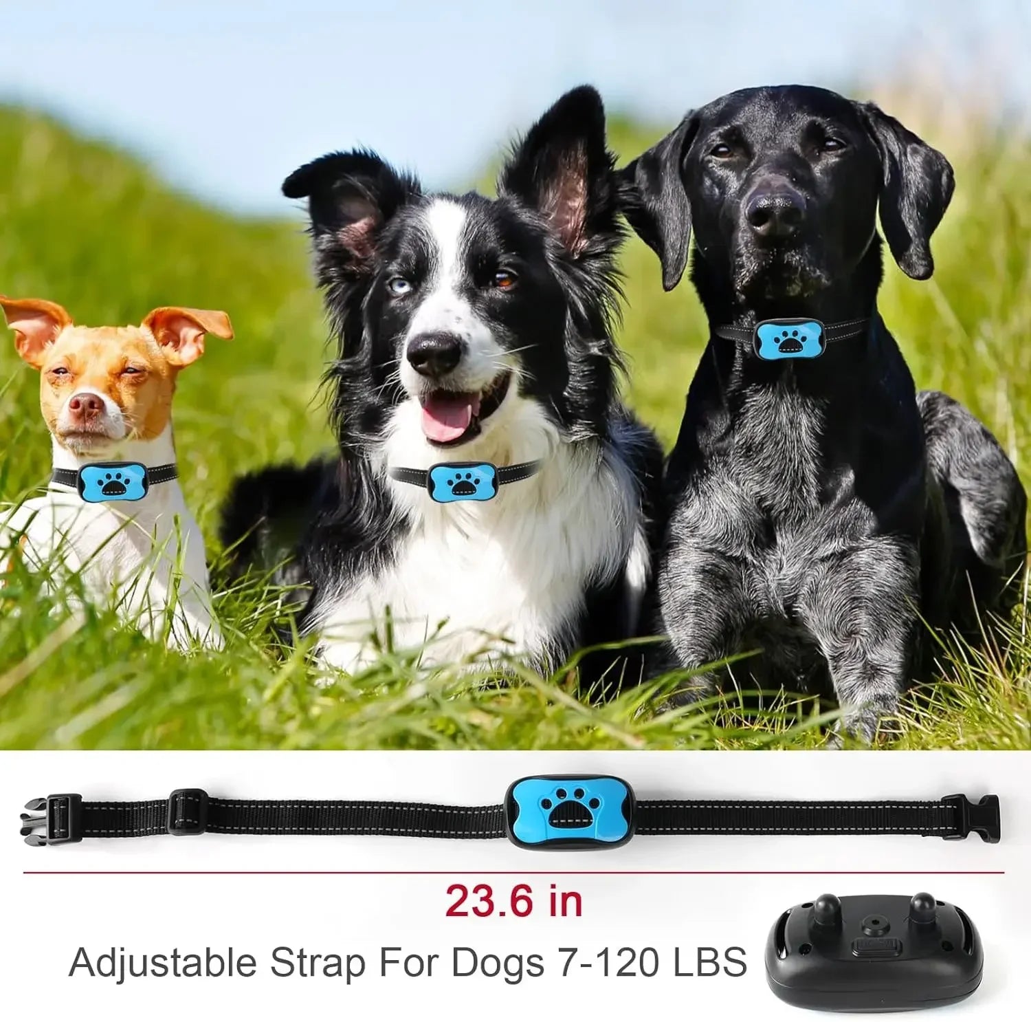 Pet Dog Anti Barking Device USB Rechargeable Dogs Training Collar Ultrasonic Stop Barking Vibration Anti Bark Collar - Petoupet 2